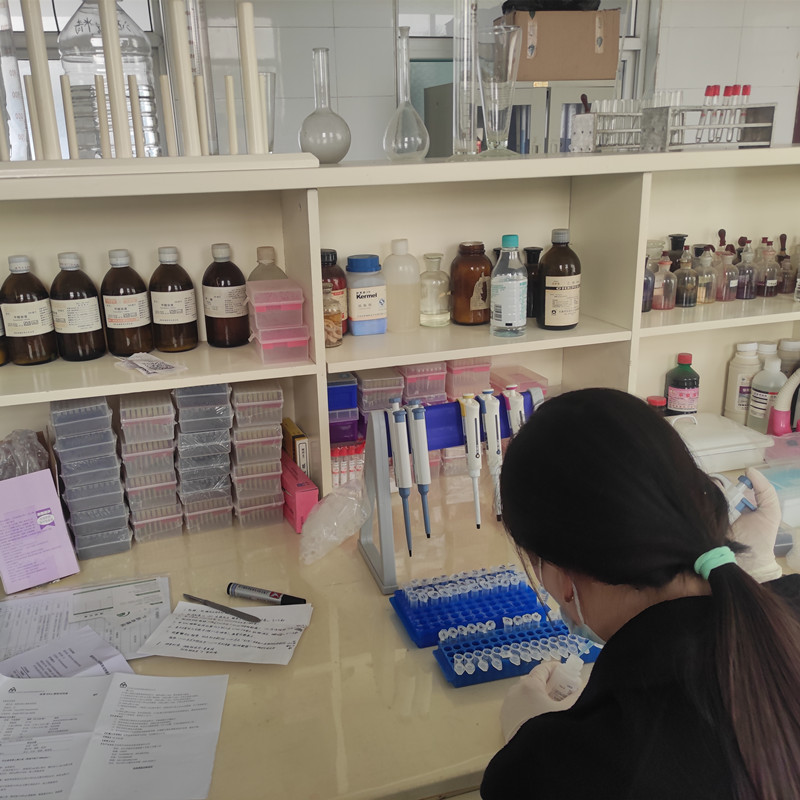  �ҹ�˾����������������ٷ���ʳ�﹫˾ʹ��