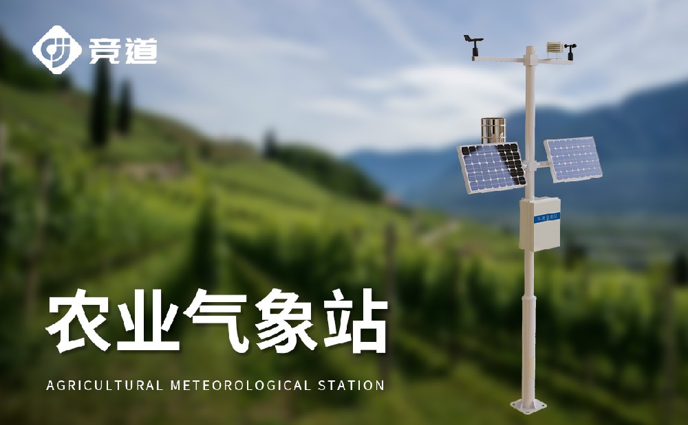 С������վ�ڹ�԰�е���������Щ