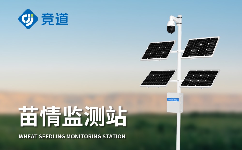 ֲ�����������