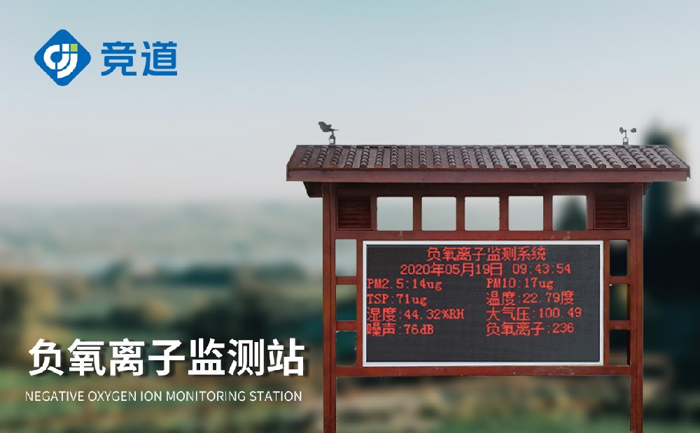 �������Ӽ��վ