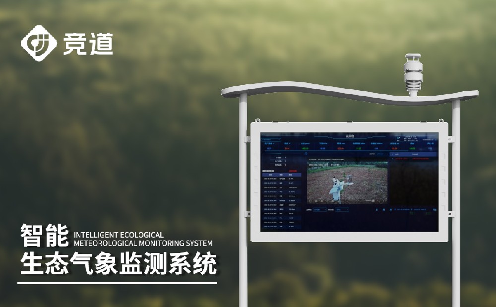 �������Ӽ��վ�������������������ֶ�