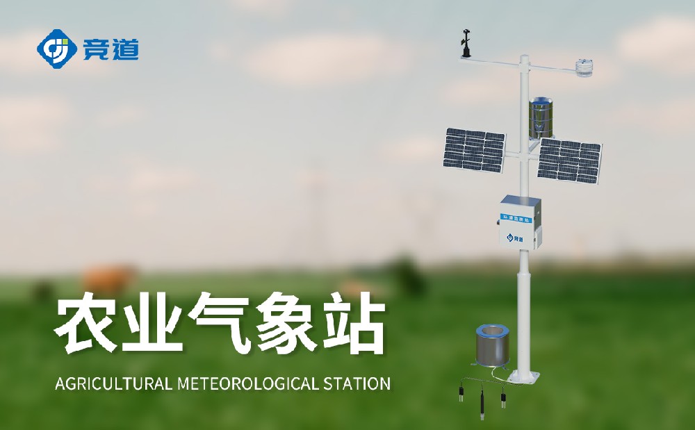 ũҵ������վ����ѡ��������ʱ