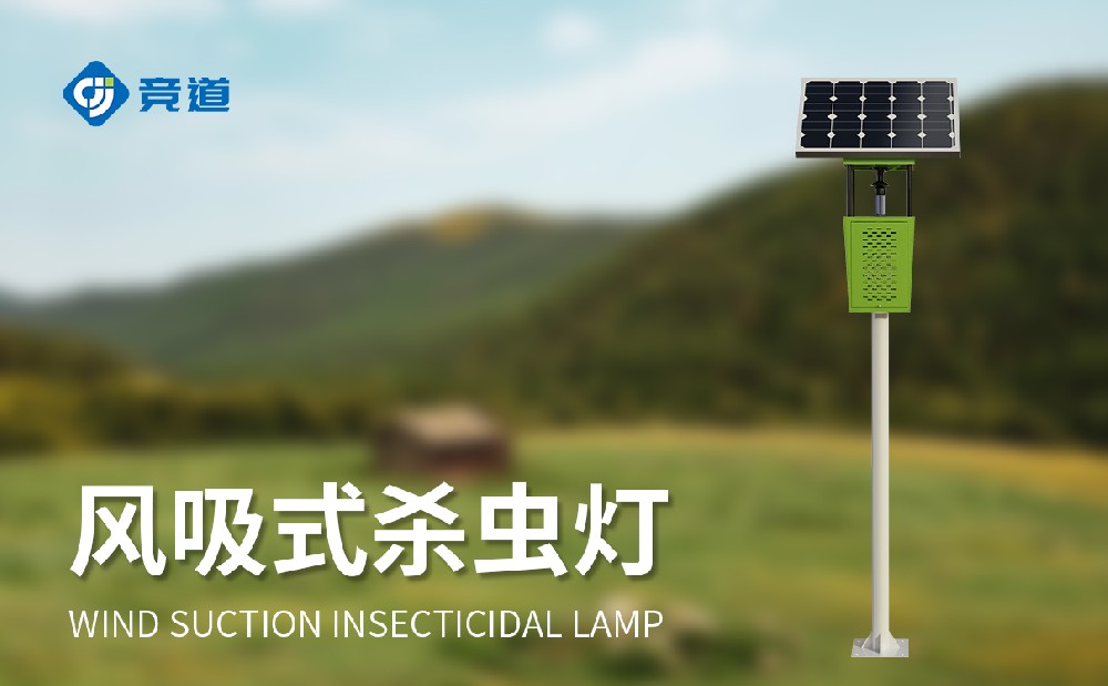 ����ʽɱ���