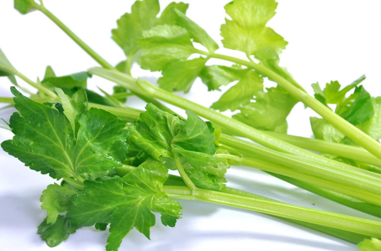 �߲��Ǹ�������������Щ��λҲ���ã�