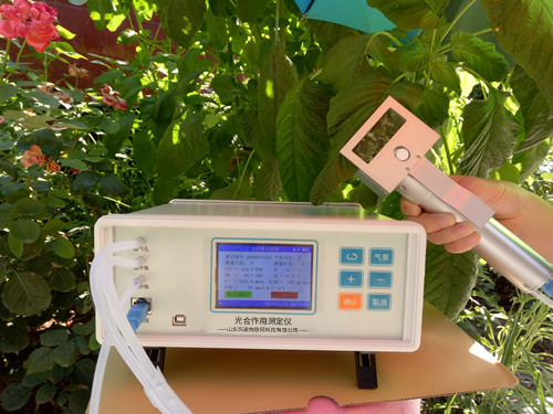 ֲ���������к�Ӧ������������