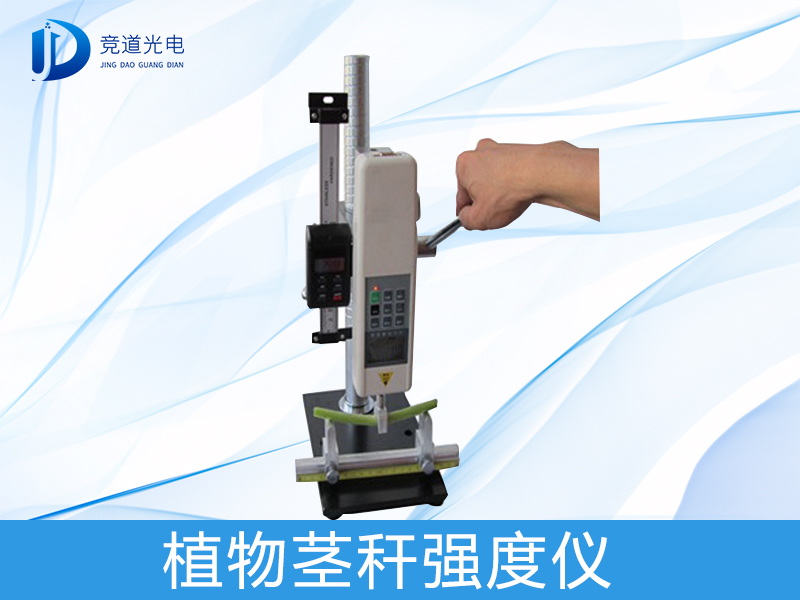 Ϊʲô�о�ֲ�ﾥ��ǿ����������