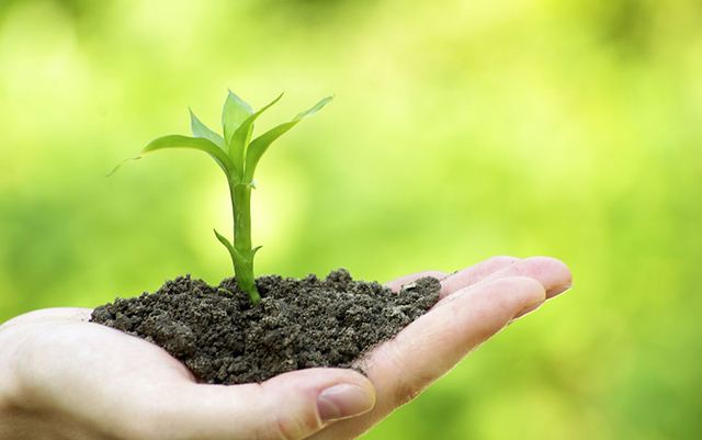 �����������Ʒ���ļҺã���