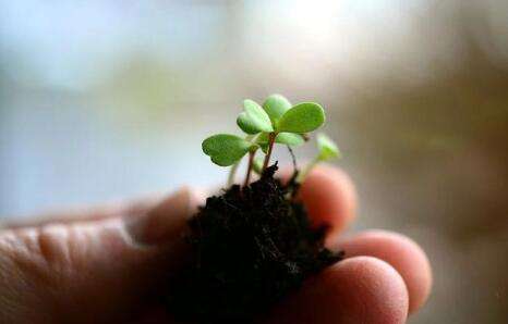 �����䷽�������Ҽ�Ǯ����Ǯ