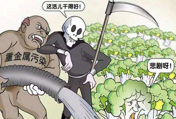 ��ʳ�徲������ð��ܣ�����