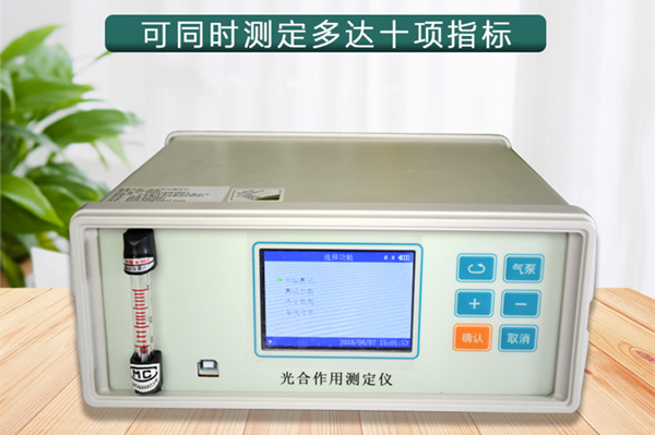 ���������Ҷ�����ڹ��������е�����