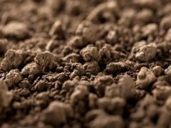 �������ּ���Ǽ�Ǯ�Ǽ��ࣿ��������