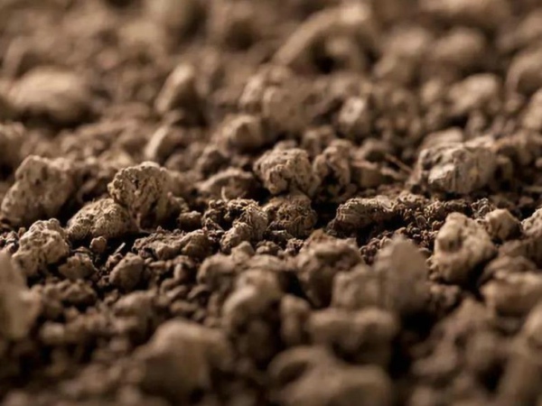 �������ּ���Ǽ�Ǯ�Ǽ�����������