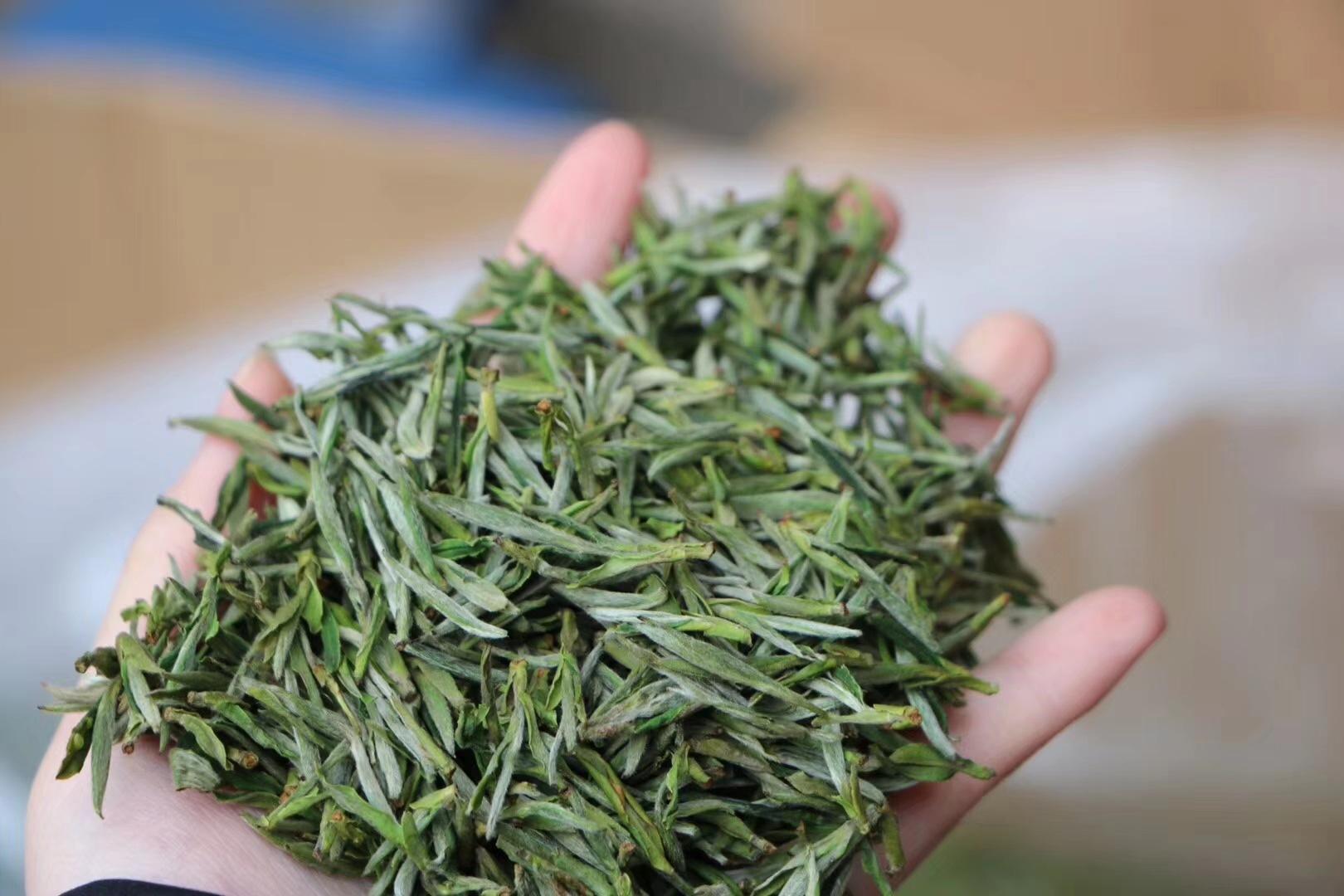 ��԰�������μ��ϵͳ���Ҽ�Ǯ