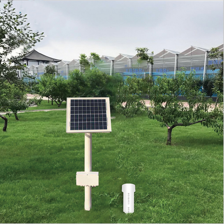 ��ʽ�����������ǣ�������������