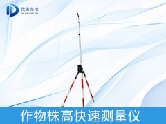 �������������ʲô������������������������������