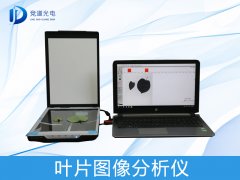 ҶƬͼ�������������ģ�����