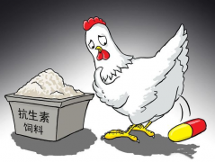 ʳ�￹���ز���������������������������