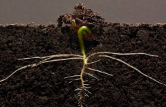 ΪʲôҪ���������л��ʼ�⣿��������